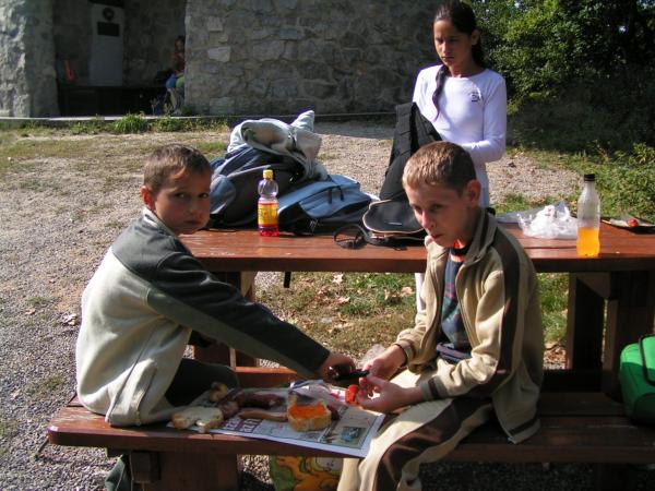 pict4774 (web)